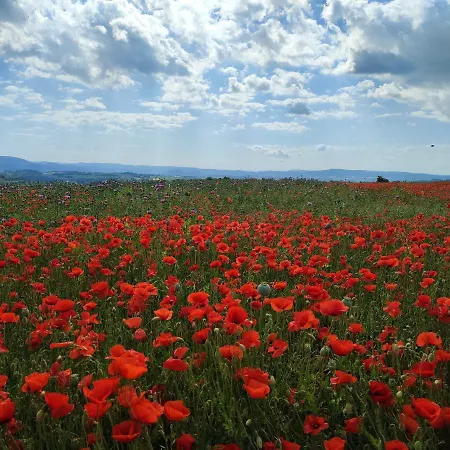 Magnolie بيت للعطل