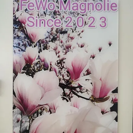 Magnolie بيت للعطل