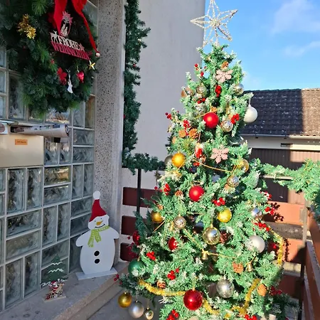 Magnolie Eschwege