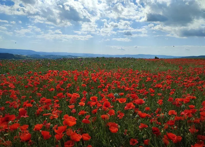 Magnolie Prázdninový dům